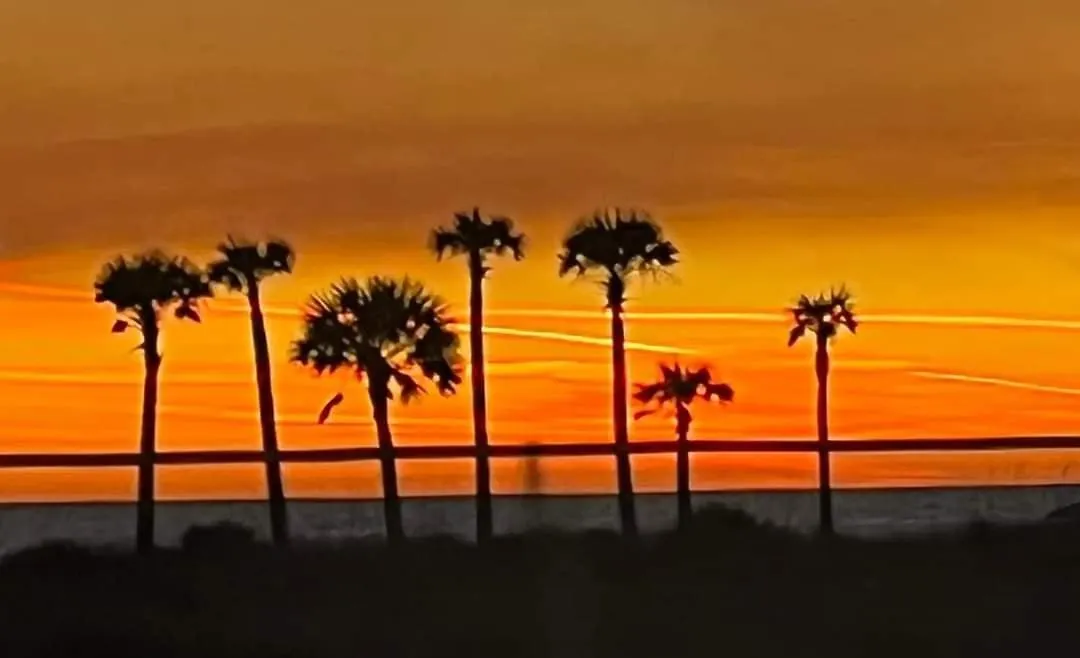 Daire Shores Of Panama 1418 - 2 Bedroombunkroom Sleeps8! Updated With A View! Free Fun! Condo Panama City Beach
